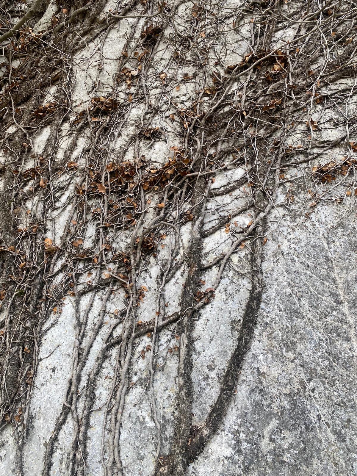 MABEL'DEN FIRSAT YATIRIMLIK DEV ARAZİ